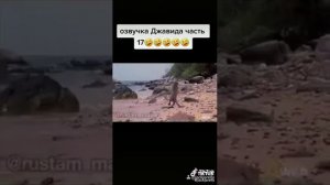 В мире животных переозвучка