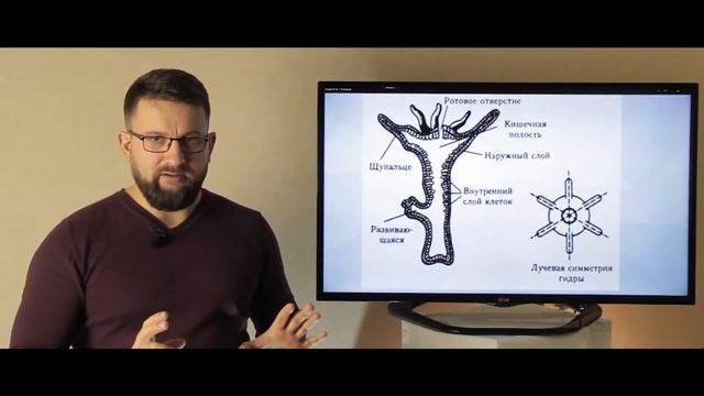 Физиогномика | На чем базируется метод