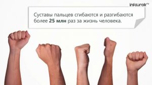 Части скелета. Живые рычаги. Первая помощь при ушибах