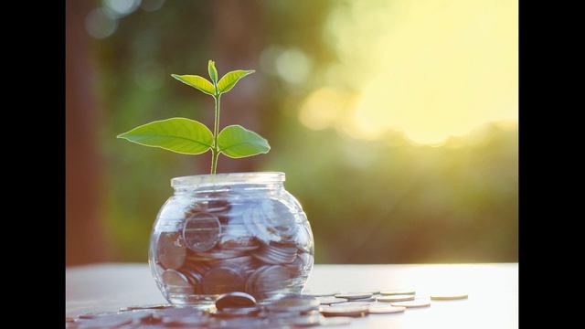 ВСЯ ПРАВДА О СКИДКАХ И БОНУСАХ смотреть онлайн