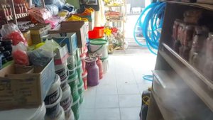 Голубям помог трихопол! Вертячка.