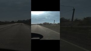 рейс свёклы на завод