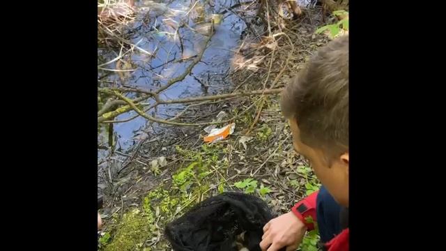 Спасли утят смотреть онлайн