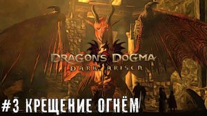 Изучаю мир - Dragons Dogma Dark Arisen   прохождение стрим часть #3