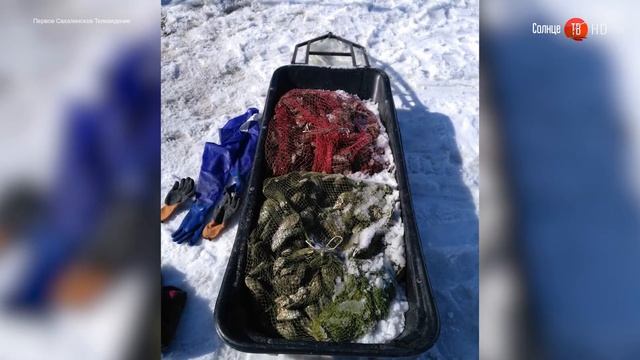 12.04.2017 Моллюски и устрицы смотреть онлайн