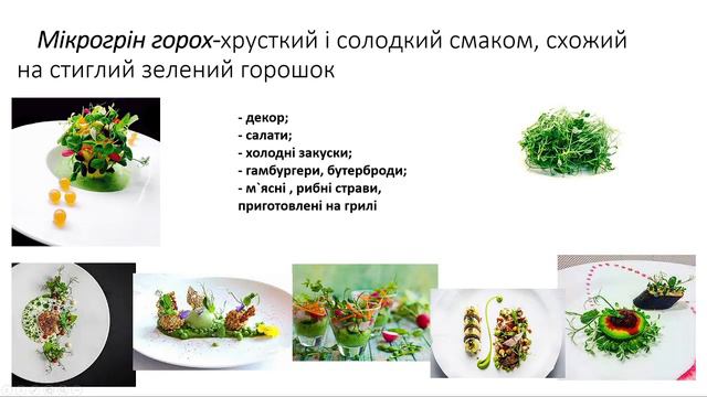 Проць Н. М.  Мікрогрін - тренд кулінарії