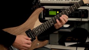 Rick Graham Demoing a Washburn Nuno Bettencourt N4 Guitar