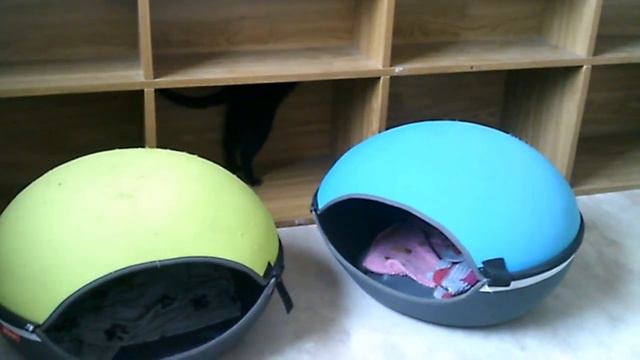 Leena et yoda смотреть онлайн