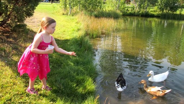 "На реке Мирожке". Слова Ирены Панченко, музыка Вячеслава Рахмана. Исполняет Вячеслав Рахман. смотреть онлайн