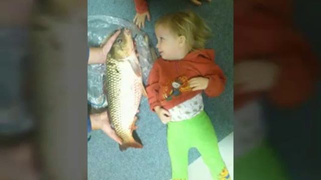 Мои трофеи. Запечатлённое на фото. смотреть онлайн