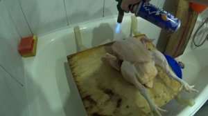 Забой бройлера. // Потрошение бройлера.// Разведение бройлера.
