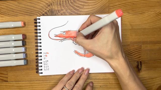 Как нарисовать креветку карандашом и скетч маркерами | Рисунок для детей, поэтапно и легко смотреть онлайн