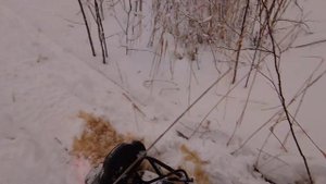 Стелс Капитан 150, первый полноценный выезд в новом году.