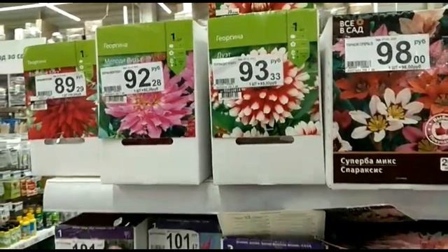 Цветы.Обзор магазина Ашан. Флоксы, лилейники, ирисы, гладиолусы, георгины, лилии смотреть онлайн