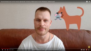 Токсоплазмоз или не все кошки одинаково полезны. Мойте руки после общения с животными.