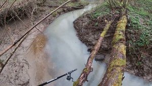 Рыбалка в лесу на реке Кура-Цеце .