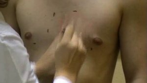 Перкуссия сердца