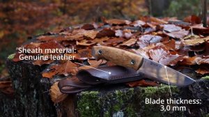 Nature & Gear: Helle Utvaer 600 Bushcraft-Knife | Beautiful Autumn Forest | non speaking