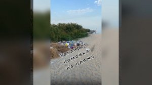 Таганрог помойка мусор на пляже отзывы обзор