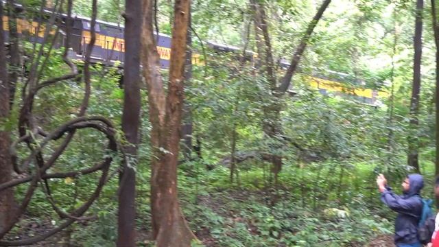 Chennai to Goa | Dudhsagar waterfall | Most beautiful place to visit in goa | Dudhsagar Trek Guide смотреть онлайн