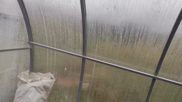 Теплица осенью. Обработка.Сидераты.Куда деть ботву.... смотреть онлайн