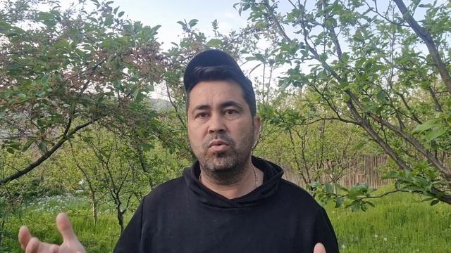 Focul bacterian boala care usucă pomii combatere și prevenire.