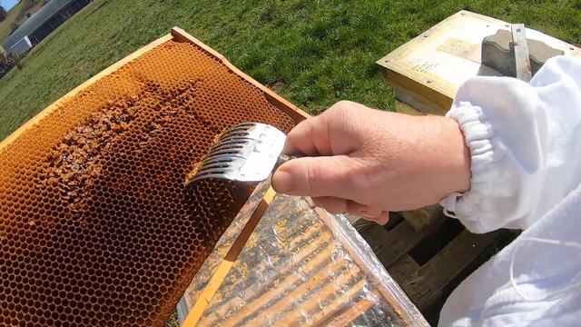 27. 03. 20 Что с расплодом 3-4 рамки после морозов -7 градусов смотреть онлайн