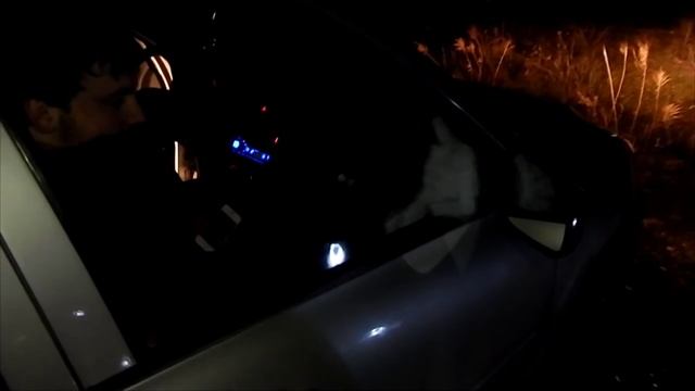 Сходка в Белореченске