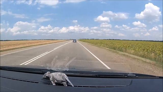 Дорога Волгоград - Крым за 17 минут