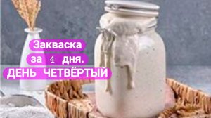 ПШЕНИЧНАЯ ЗАКВАСКА ЗА 4 ДНЯ. ДЕНЬ ЧЕТВЕРТЫЙ