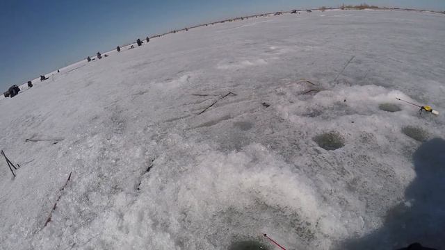 Накосил Карася на ПОПЛАВОЧКУ!!! Рыбалка на карася на поплавок!!! Рыбалка на карася зимой!!! смотреть онлайн