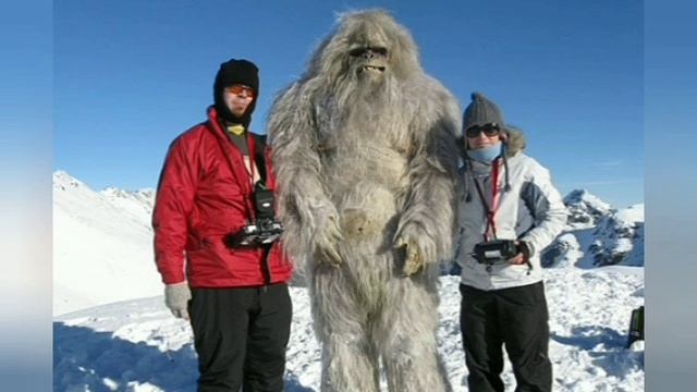 Разумные доводы - иррациональные решения