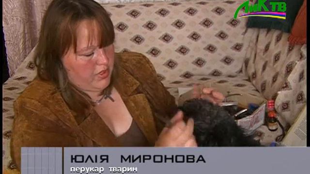 Перукар для чоторилапих смотреть онлайн