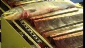 Головоруб автомат для красной рыбы