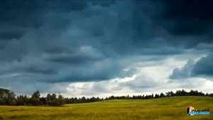 Денис Майданов Флаг государства