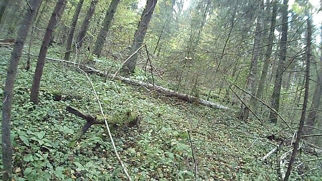 Хардбол (Hardball). Кьянма-5. Наблюдение за противником смотреть онлайн