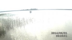 Лодка Profmarin-300 (с тентом), двигатель Sea Pro-9.9.