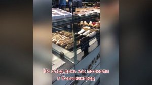Наша поездка в Калининград. Почему мы решили остановиться в Зеленоградске? Поездка на Куршскую косу