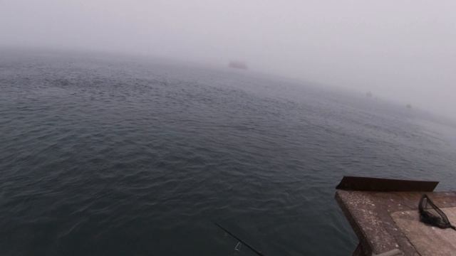 HRF Wrassing - Lure Fishing For Wrasse - Texas Rig and Gulp Sandworm смотреть онлайн