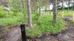Прогулка по парку, в грозу Белорецк Башкортостан