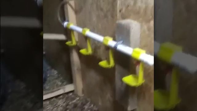 Зимний курятник своими руками. ВНУТРЕННЕЕ УСТРОЙСТВО