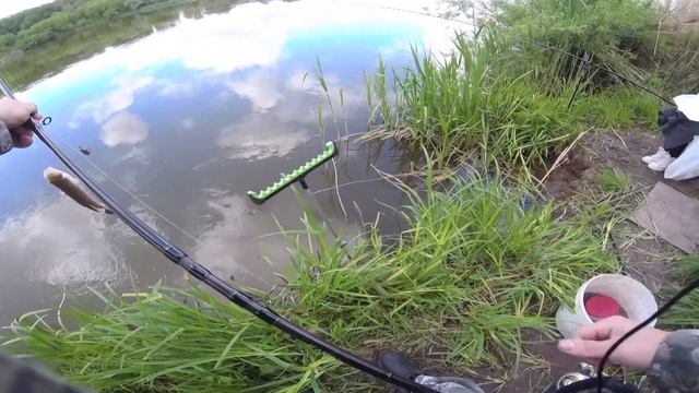 РЫБАЛКА НА РЕКЕ ДОН ВОРОНЕЖСКОЙ ОБЛАСТИ. МАЙ 2020. ФИДЕР НА ДОНУ.Природа Воронежской области.