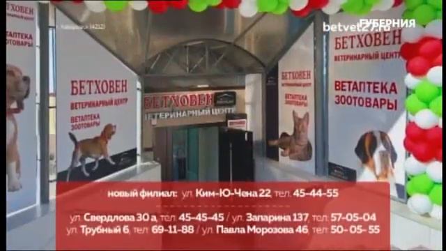Уход на профилактику (Губерния (Хабаровск), 20.09.2023) смотреть онлайн