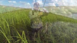 Рыбалка на домашнем водоеме. Новый Уренгой. DF 17