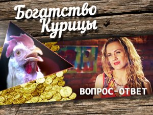 Богатство Курицы: Вопросы для незнакомки