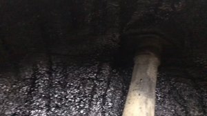 Hyundai Sonata, на примере автомобиля, рассмотрим как можно зашумить арки колес и обесшумить локеры