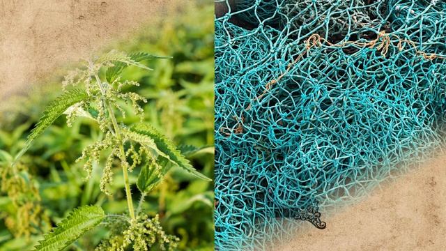 Кто изобрел Бумагу. История создания Бумаги.