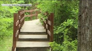 Главный врач Советской районной больницы порекомендовал чаще гулять по лесу