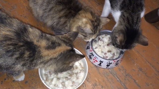 Мой поход в новый магазин! смотреть онлайн