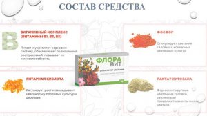 Стимулятор цветения ФЛОРАВИТ: обзор и отзывы на средство! Лохотрон или нет?